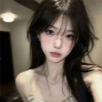 水鸟 封面