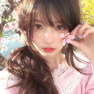 白莲花 封面
